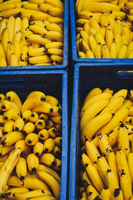 Vibrant yellow bananas stacked neatly in blue crates at a vibrant São Paulo market. Ideal for food and travel themes.